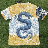 2025/26 Porto Special Version Fans Soccer Jersey