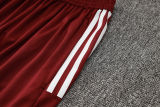 2024/25 Internacional Red Vest Training Jersey(A Set)