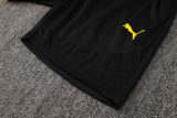 2025/26 BVB  Yellow Vest Training Jersey(A Set)