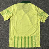 2025/26 Palmeiras Away Fans Soccer Jersey