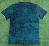 2023/24 Italy Green Special Edition Fans Soccer Jersey