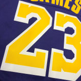 LA Lakers James #23 Purple NBA Jerseys Hot Pressed