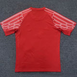 2024/25 PSG Third Red Fans Soccer Jersey
