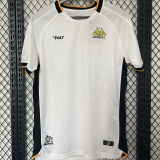2024/25 Criciuma Away White Fans Jersey 克里丘马