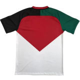 2024 Palestine Fans Soccer Jersey