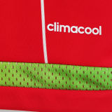 2015/16 Wales Home Red Retro Soccer Jersey