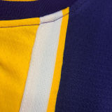 LA Lakers James # 23 V-Neck Purple NBA Jerseys Hot Pressed