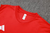2025/26 ARS Red Vest Training Jersey(A Set)