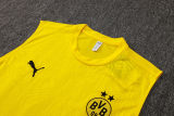 2025/26 BVB  Yellow Vest Training Jersey(A Set)