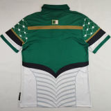 2024/25 Palestine Green White Fans Soccer Jersey
