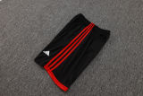 2025/26 Flamengo Vest Training Jersey(A Set)