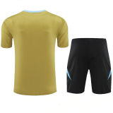 2024/25 Argentina Khaki Training Tracksuit