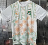 2026/27 Ivory Coast Away Fans Soccer Jersey