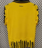2025/26 BVB Special Edition Yellow Fans Soccer Jersey