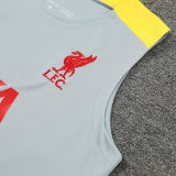 2025 Liv Grey Vest Training Jersey(A Set)