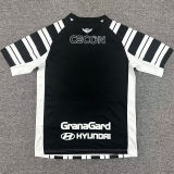 2026/27 Club Libertad Home Fans Soccer Jersey
