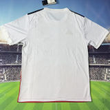 2025/26 Benfica Special Edition Fans Soccer Jersey
