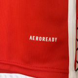 2024/25 Internacional Home Red Fans Soccer Jersey