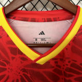 2026/27 Colombia Special Edition Fans Soccer Jersey