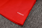 2024/25 Internacional Red Vest Training Jersey(A Set)