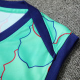 2024/25 BA Light Green Vest Training Jersey(A Set)
