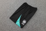 2025  South Korea Lake Blue Training Jersey(A Set)