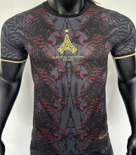 2025/26 PSG Special Edition Player Version Soccer Jersey