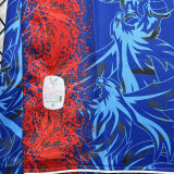 2024/25 Crystal Palace Home Fans Soccer Jersey