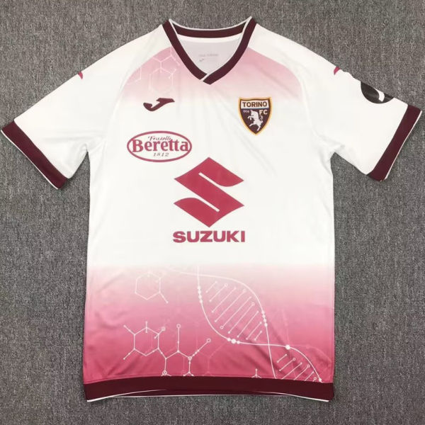 2024/25 Torino Training Fans Soccer Jersey
