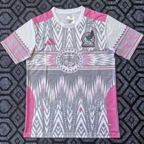 2026/27 Mexico Special Edition Fans Soccer Jersey