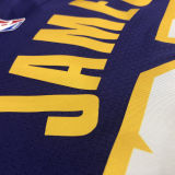 LA Lakers James # 23 V-Neck Purple NBA Jerseys Hot Pressed