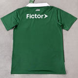 2026 Palmeiras Special Edition Fans Soccer Jersey