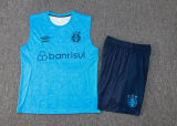 2024/25 Grêmio Blue Vest Training Jersey(A Set)