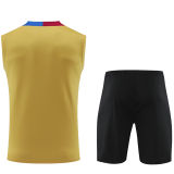 2024/25 BA Khaki Vest Training Jersey(A Set)