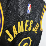 2025 Lakers JAMES JR. #9 Black NBA Jerseys 热压
