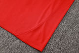 2024/25 Spain Red Vest Training Jersey(A Set)