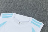 2026/27 Argentina White Vest Training Jersey (A Set)