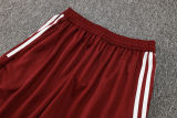 2024/25 Internacional Red Vest Training Jersey(A Set)