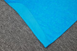 2024/25 Grêmio Blue Vest Training Jersey(A Set)