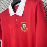 2026/27 Wales 150TH Anniversary Edition Fans Soccer Jersey