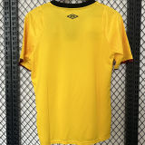 2024/25 Sport Recife Away Yellow Fans Soccer Jersey