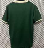 2025/26 Wolfsburg Commemorative Edition Green Fans Soccer Jersey