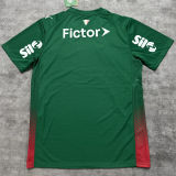 2026/27 Palmeiras 1:1 Quality Home Green Fans Soccer Jersey  (All Sponsor 全广告)