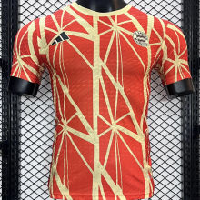 2024/25 BFC Training Player Version Jersey