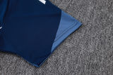 2025/26 Al Nassr Baby Blue Training Jersey(A Set)