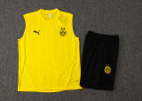 2025/26 BVB  Yellow Vest Training Jersey(A Set)