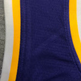 LA Lakers James #23 Purple NBA Jerseys Hot Pressed