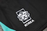 2025  South Korea Lake Blue Training Jersey(A Set)
