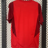 2024/25 Internacional Red Training Jersey  大红色