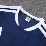 2026 AD Royal Blue Training Jersey (A Set)